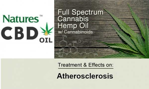 CBD-Oil-and-Atherosclerosis