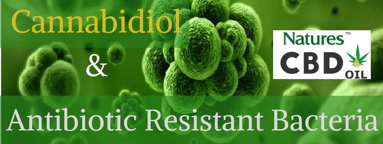 cbd antibiotic resistance