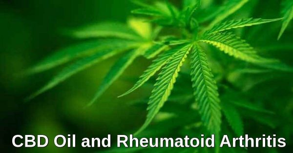 cbd-oil-arthritis