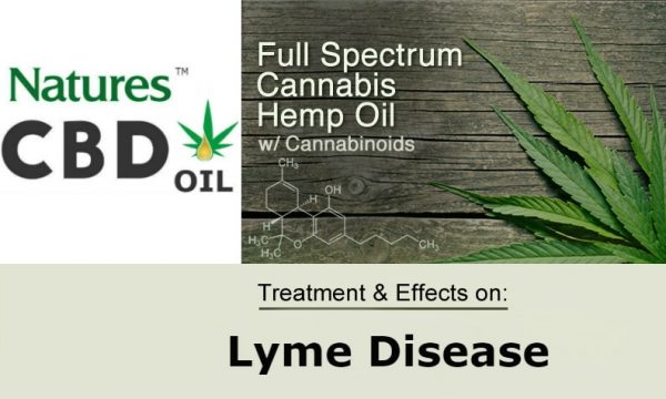 CBD Oil Helps Lyme Disease