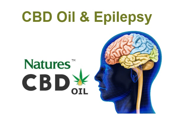 cbd hemp oil epilepsy
