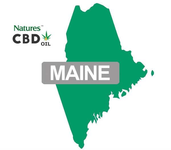 cbd oil for sale in Maine