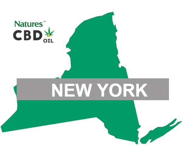 cbd oil for sale in NY