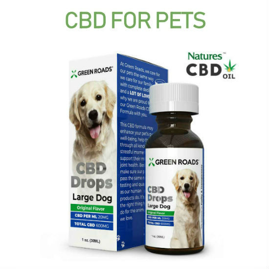 cbd-hemp-oil-for-dogs-cats