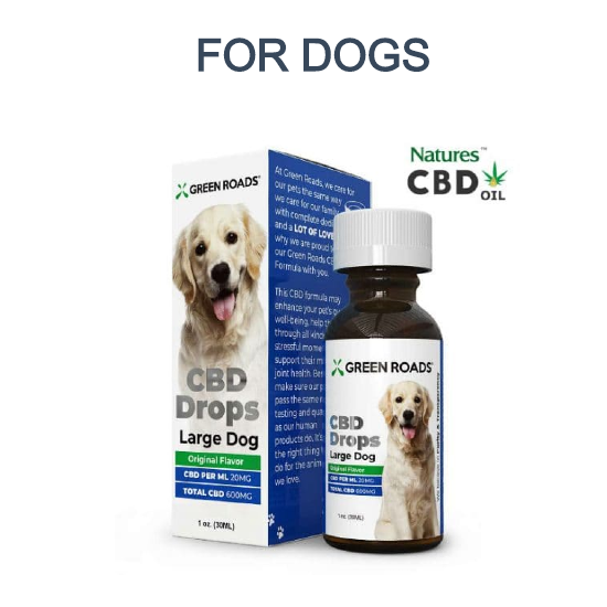 Best Cbd For Dogs